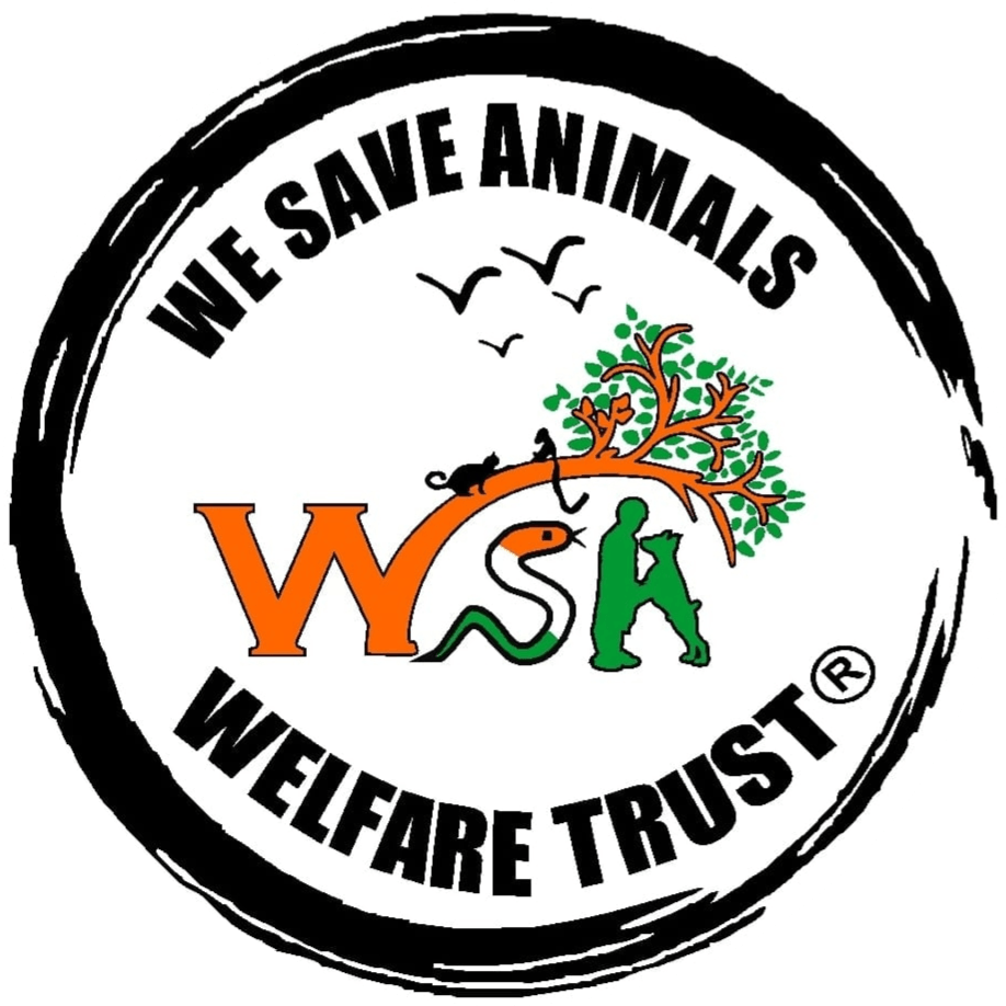 wsa-logo